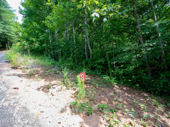 94 Desoto Trl Lot 8, Marble, NC 28905