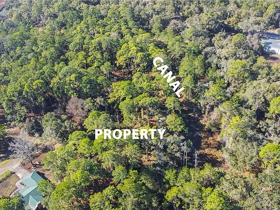 4th image of 2319 W Wildflower Ct