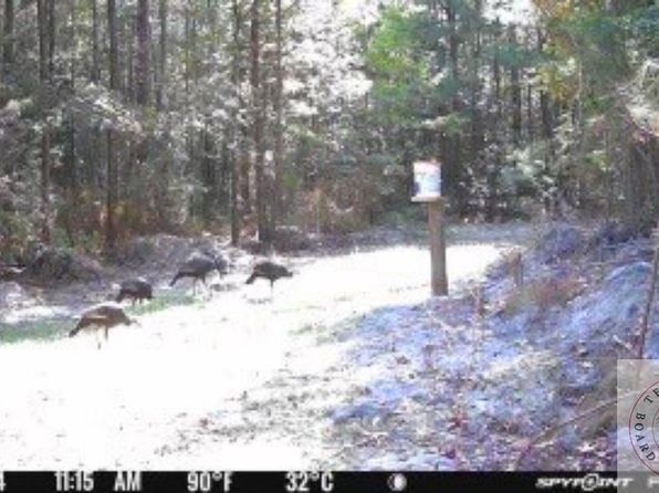 1283 County Road 1890, Bivins, TX 75555