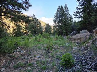 1784 Main, Georgetown, CO 80444