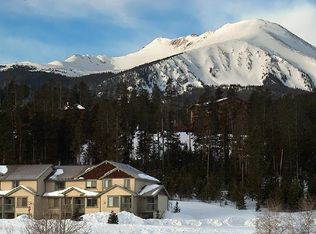 297 Kestrel Ln, Silverthorne, CO 80498