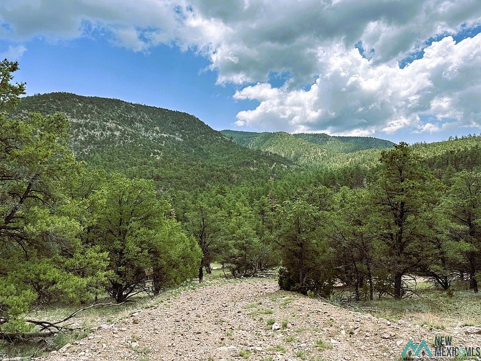 1st image of Forest Rd #234