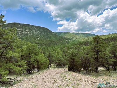 Forest Rd #234, Magdalena, NM, 87825