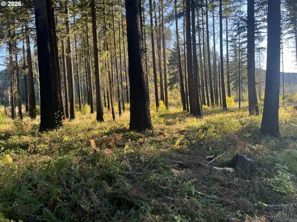 23483 Willa Ln SE, Lyons, OR 97358