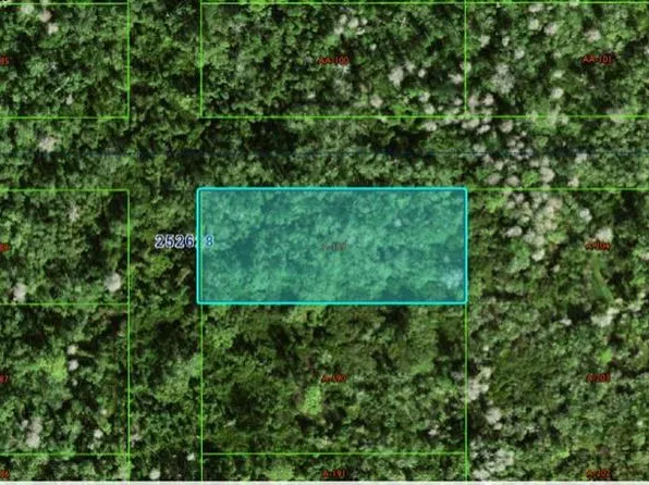 Commonwealth Ave N, Polk City, FL 33868