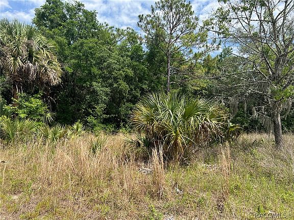 3rd image of 6882 W Doris Maretta Ln