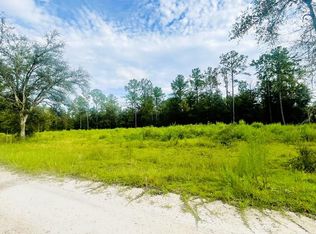 LOT 217 NE 96th St, Archer, FL 32618