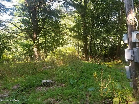 4th image of 151 Route 115