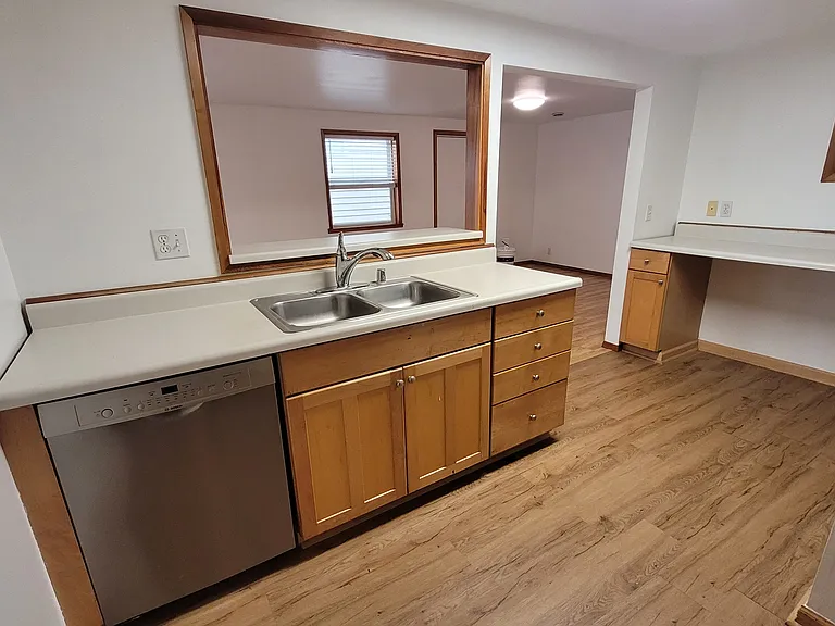 Dishwasher and kitchen sink