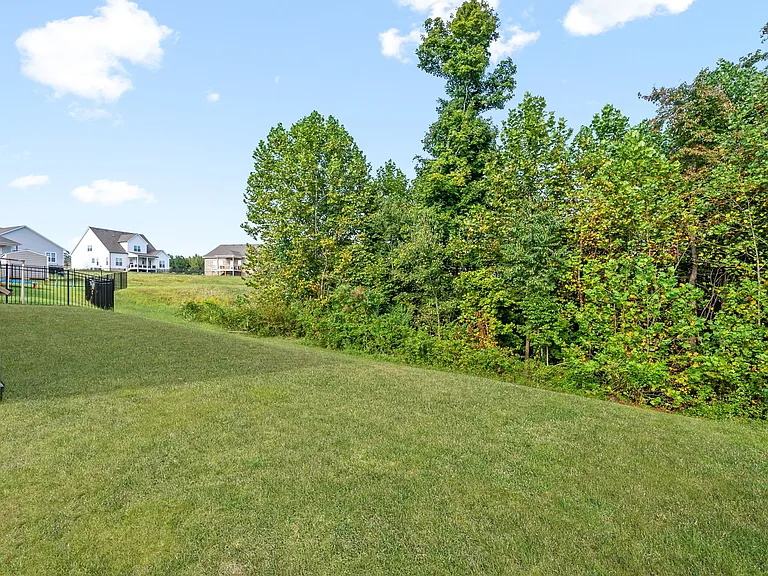 917 Frog Gip Pond Ct — Photo 31