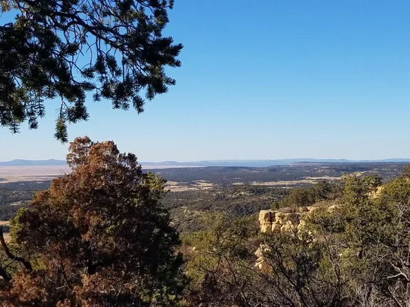 7 E Cebolla Canyon Rd, Pie Town, NM 87827