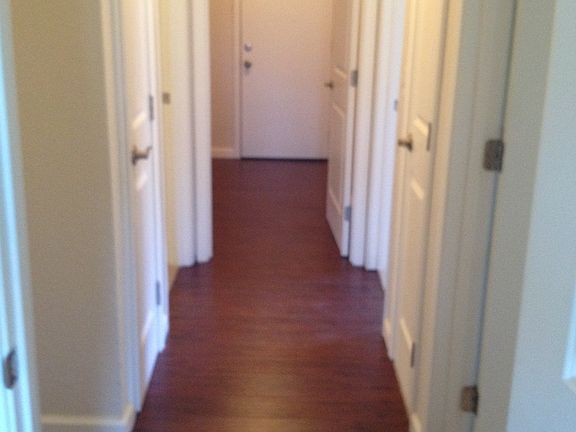 hallway wood flooring and all new doors