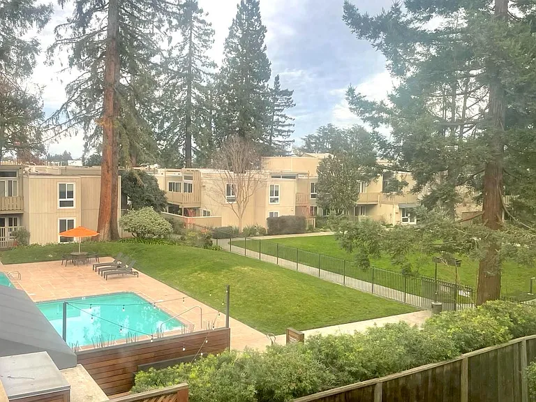 Living room exterior redwoods vista