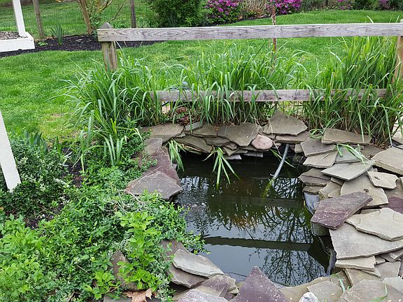 Koi pond next to deck