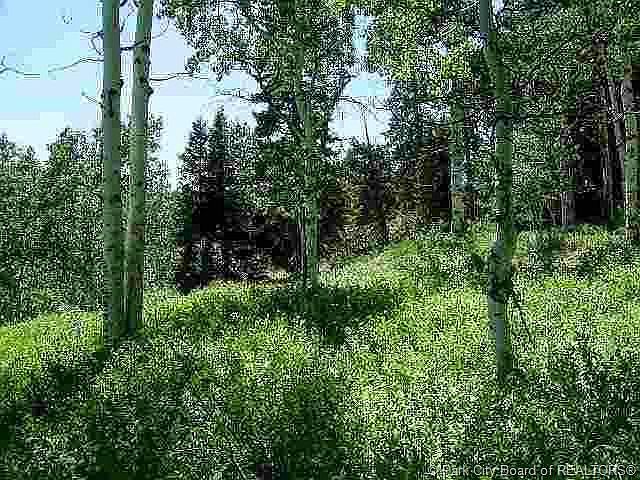2nd image of 80 W Elk Rd #80-PI-G