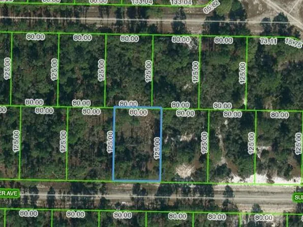 420 Surrender Ave #16, Lake Placid, FL 33852