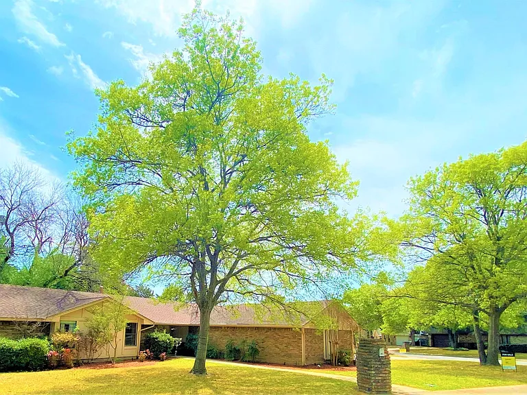 Huge Corner Lot