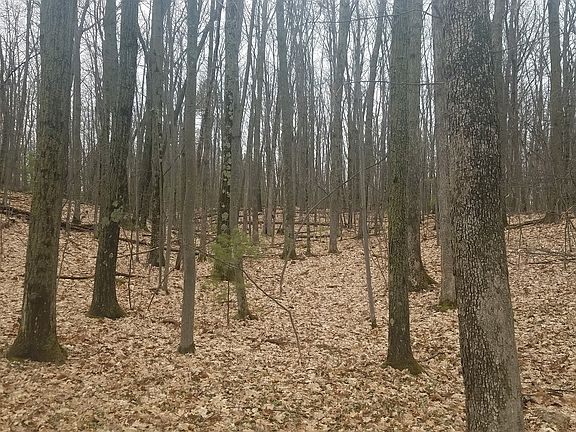 4th image of 9 Hazelnut Ave