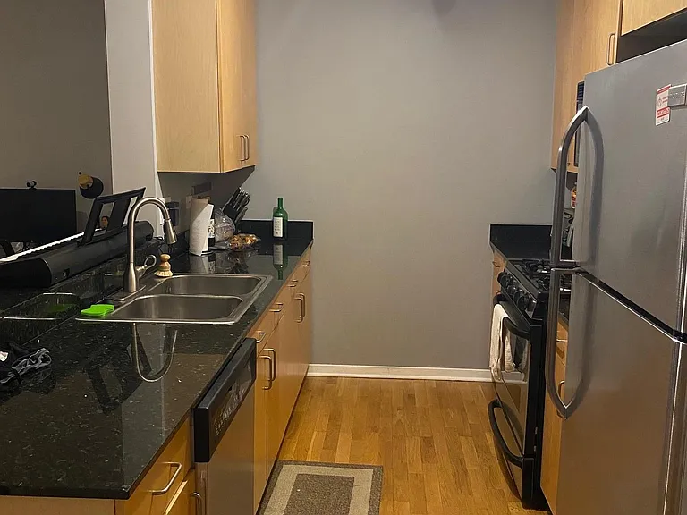 1546 N Orleans St #906 — Photo 7