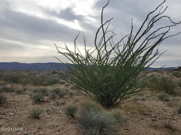 10018 S Apache Rd, Yucca, AZ 86438