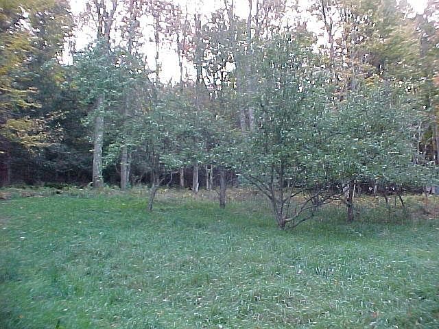 2nd image of Hemlock Grove Rd