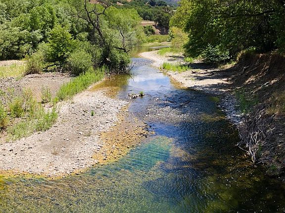5th image of 29810 River Rd