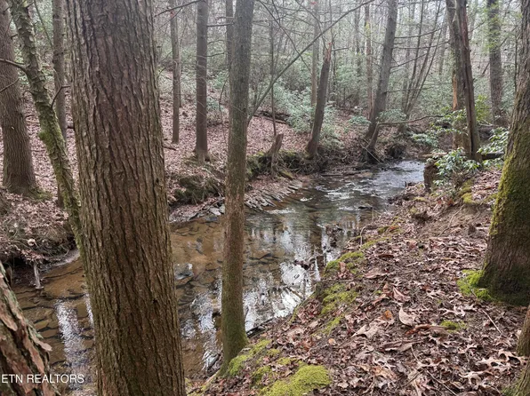 Street Place Loop, Monterey, TN 38574