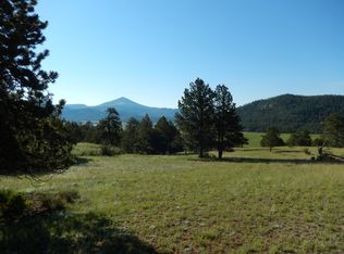 1014 County Road 111, Florissant, CO 80816