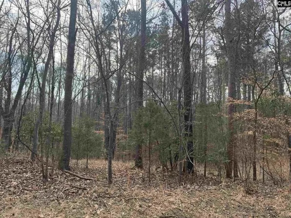 601 Ridge Rd, Leesville, SC 29070