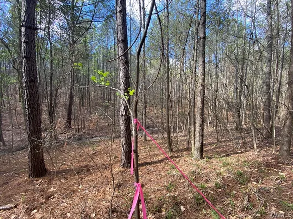 10917-2 Bama Rock Garden Rd, Vance, AL 35490