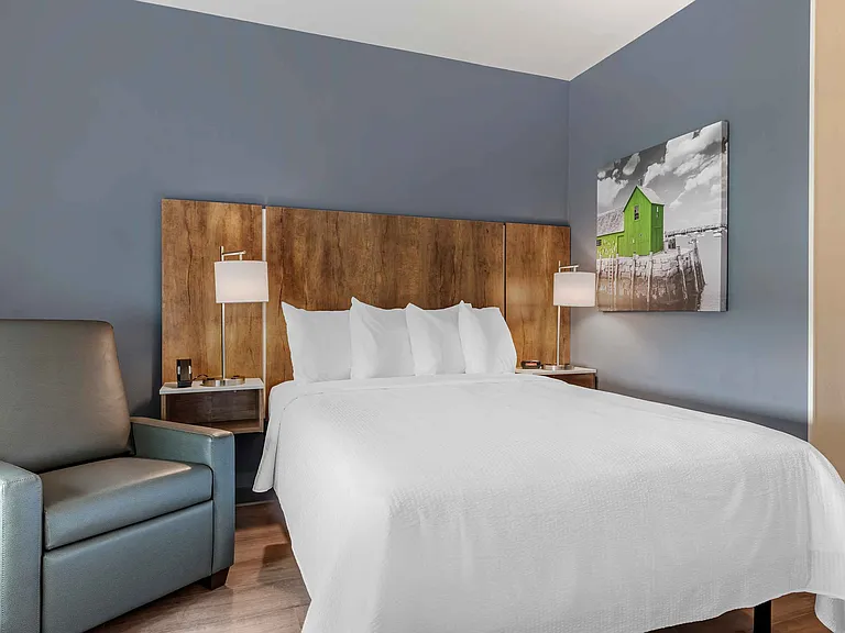 Studio Suite - 1 Queen Bed