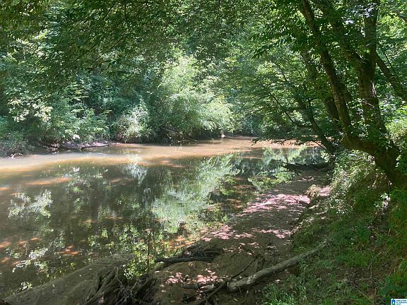 2nd image of County Road 1043