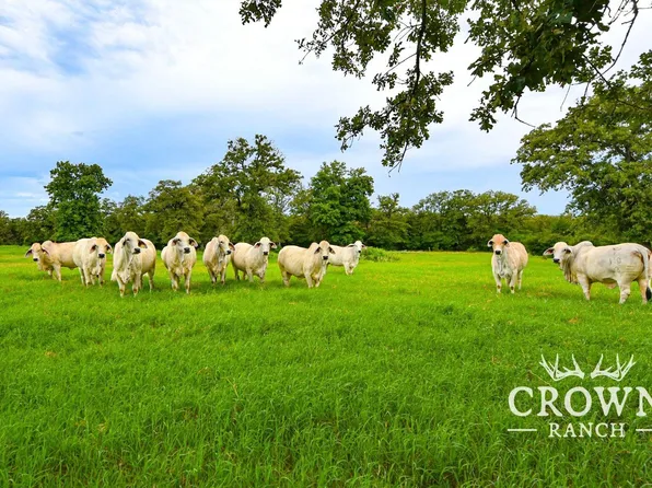 Fm 908, Caldwell, TX 77836