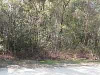 1st image of 6384 N Sourgum Ter