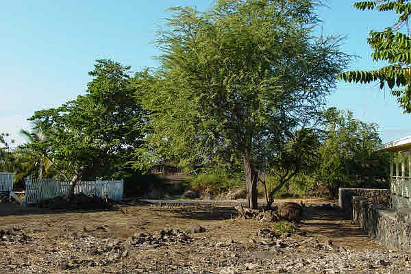 1st image of 76-6180 Plumeria Rd Lot 23-B
