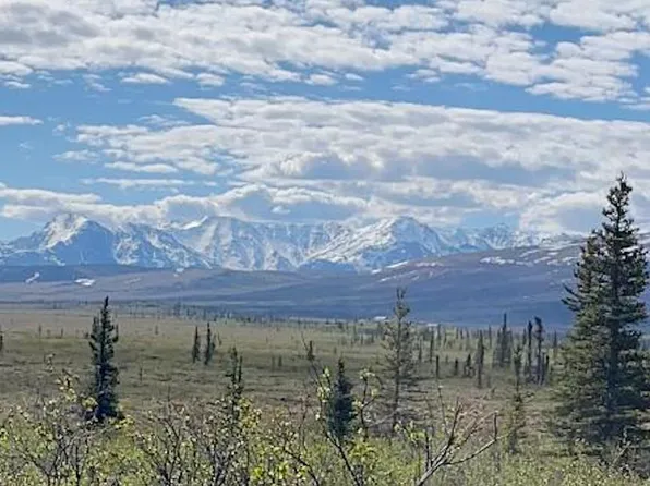 Nhn Stampede Rd, Healy, AK 99743