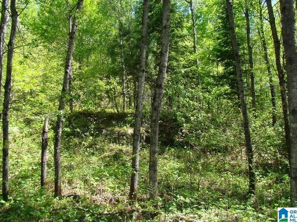 3994 Dean Rd, Pinson, AL 35126