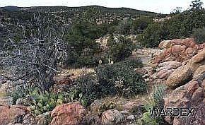 1st image of 0 Quail Call Ln