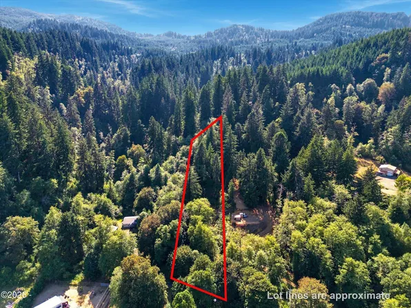 Tl 4700 Steelhead Ln, Hebo, OR 97122