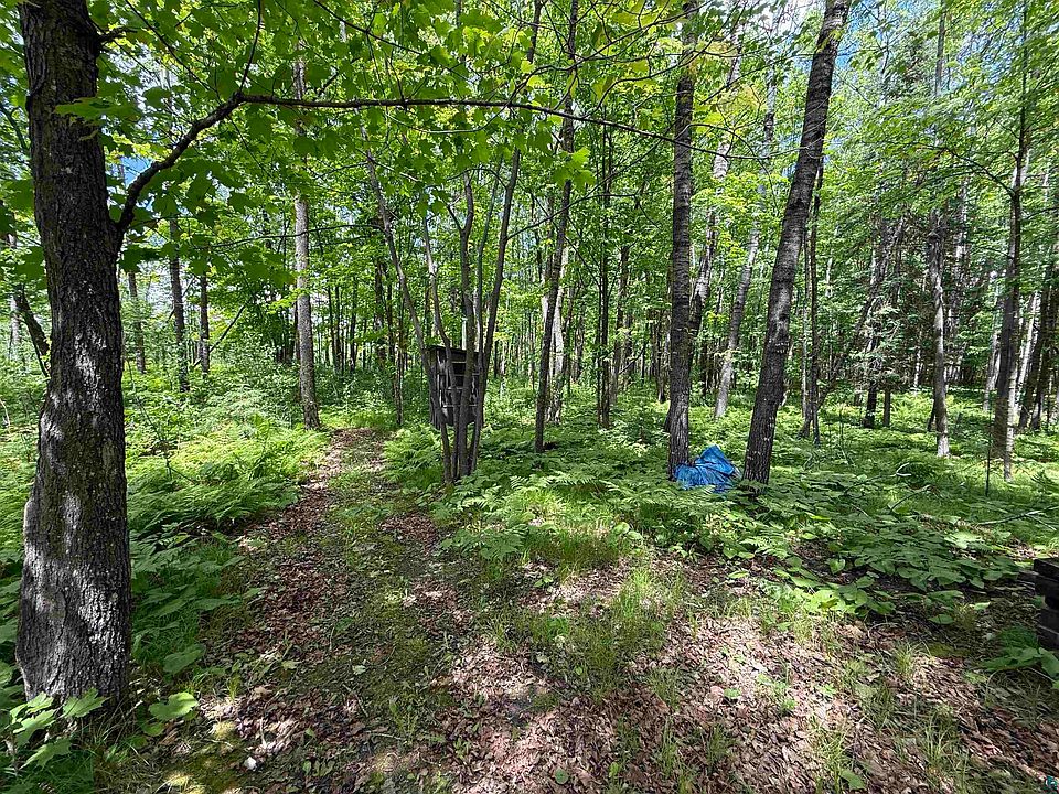 31st image of 2647 Billings Rd