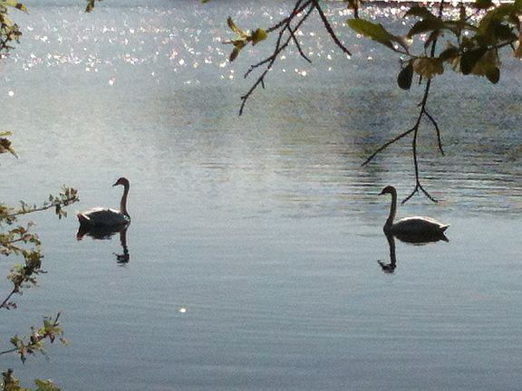 Hopkinton State Park nearby