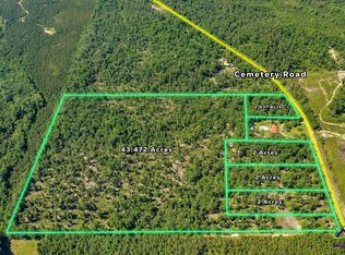 PARCEL 1 Everett Wood Rd, Oglethorpe, GA 31068