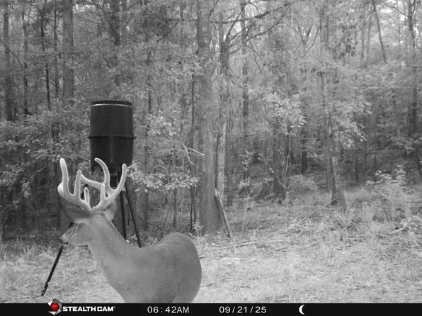 37988 Oakey Streak Rd, Dozier, AL 36028