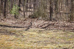 3rd image of 4648 Craighead Ln
