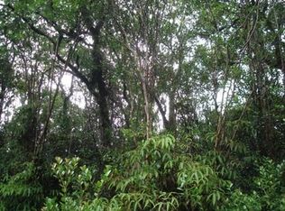 Hilo Acres LOT 22, Mountain View, HI 96771