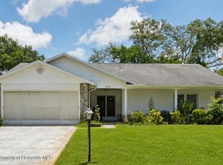 2328 Palm Springs Ct, Spring Hill, FL 34606