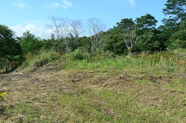 1st image of 615 Ponahawai St Lot 5