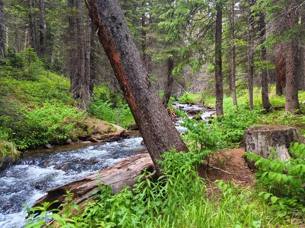 Rainbow Rd, Idaho Springs, CO 80452