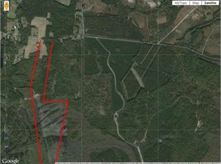 2370 Big Dam Swamp Dr, Andrews, SC 29510