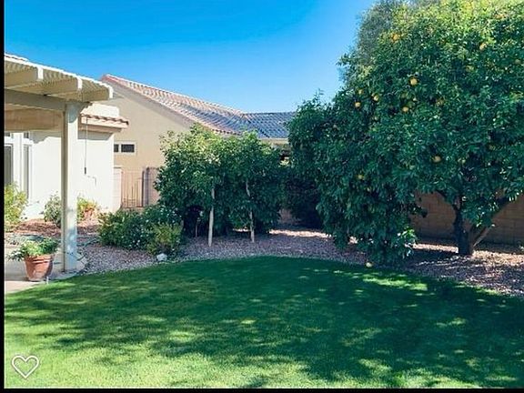 Backyard (Yard is currently being replanted(